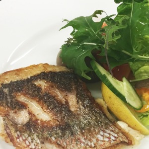 Pan Roasted Florida Snapper